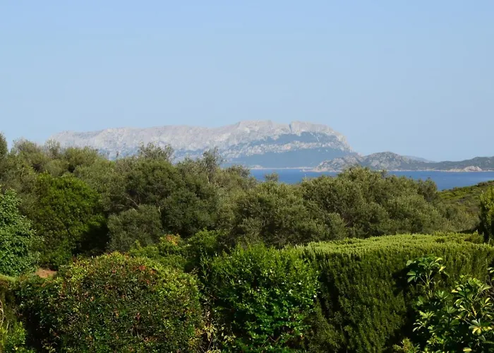 Sa Domitta Di Suiles Apartamento Olbia