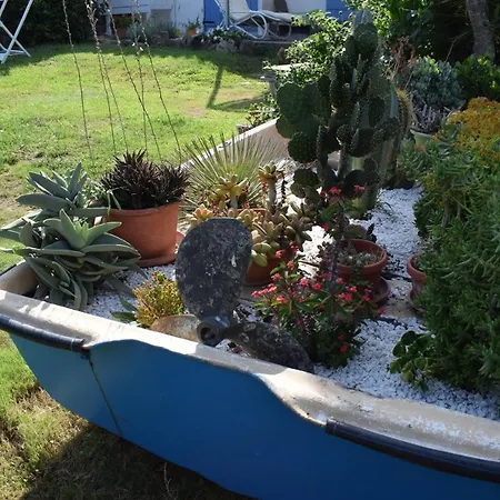 Sa Domitta Di Suiles * Όλμπια